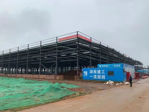 益陽總投資8.229億元大項(xiàng)目預(yù)計(jì)12月建成投產(chǎn)，房屋建筑工程施工穩(wěn)步推進(jìn)