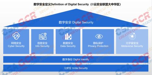 數(shù)字安全框架首發(fā) 數(shù)字經(jīng)濟(jì)騰飛，網(wǎng)絡(luò)與信息安全軟件開(kāi)發(fā)護(hù)航