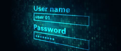 從“零信任”開始 構(gòu)筑網(wǎng)絡(luò)安全與信息安全軟件開發(fā)的新基石